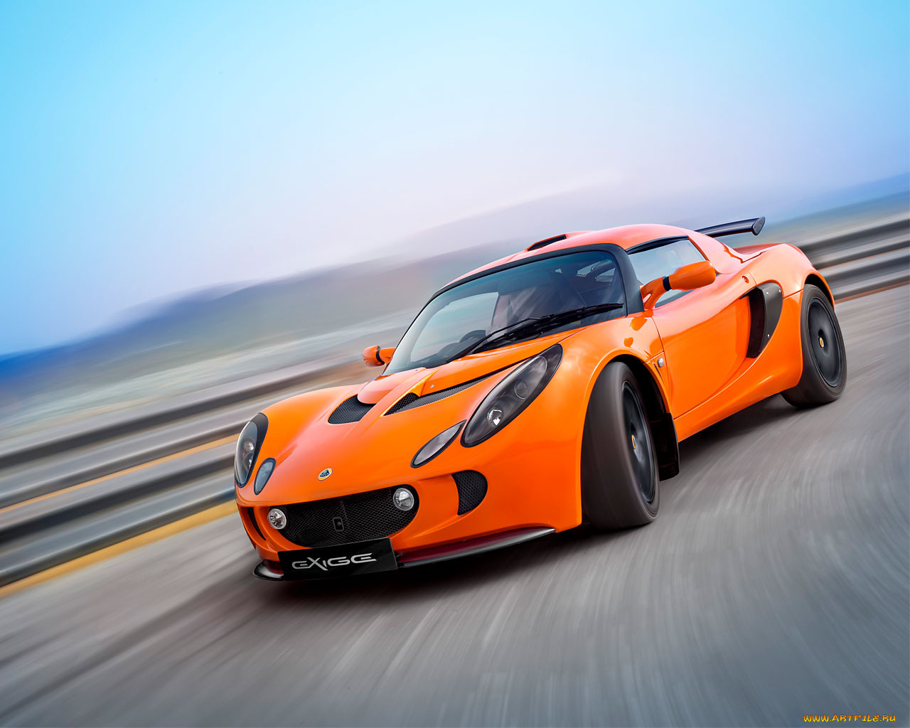 , lotus